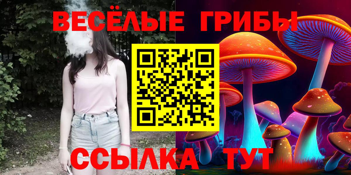 Псилоцибиновые грибы Psilocybine cubensis  Вход с VPN  Арсеньев 