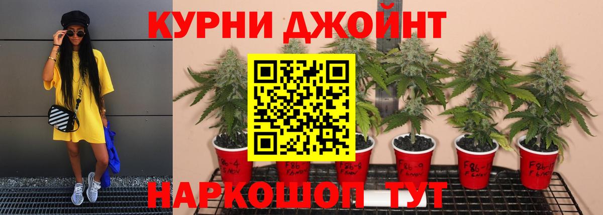 Арсеньев  Шишки марихуана VHQ  Канабис гибрид  Марихуана семена  Конопля индика  Вход с VPN 